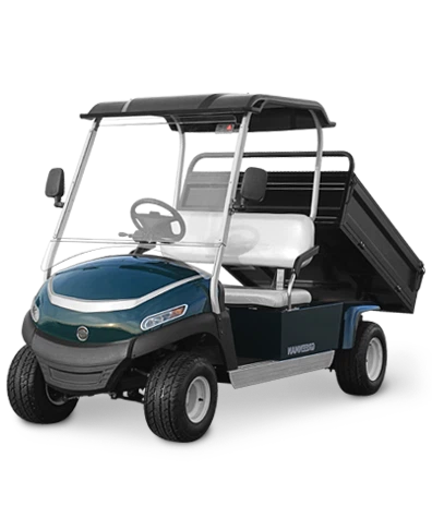 Voiturette de golf électrique portable